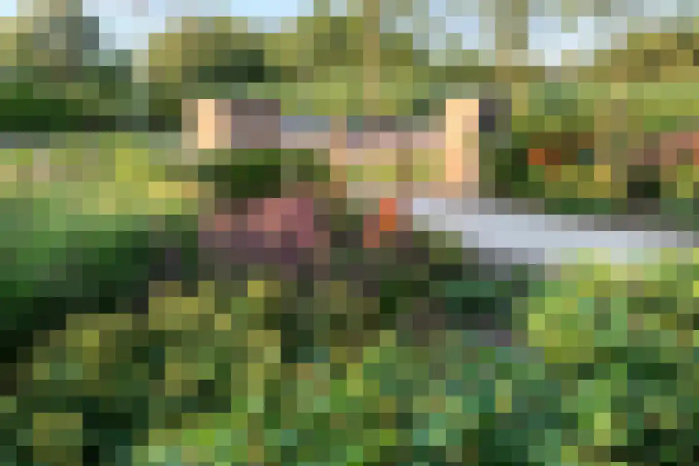 't Waaltje 1 Papendrecht thumbnail 73