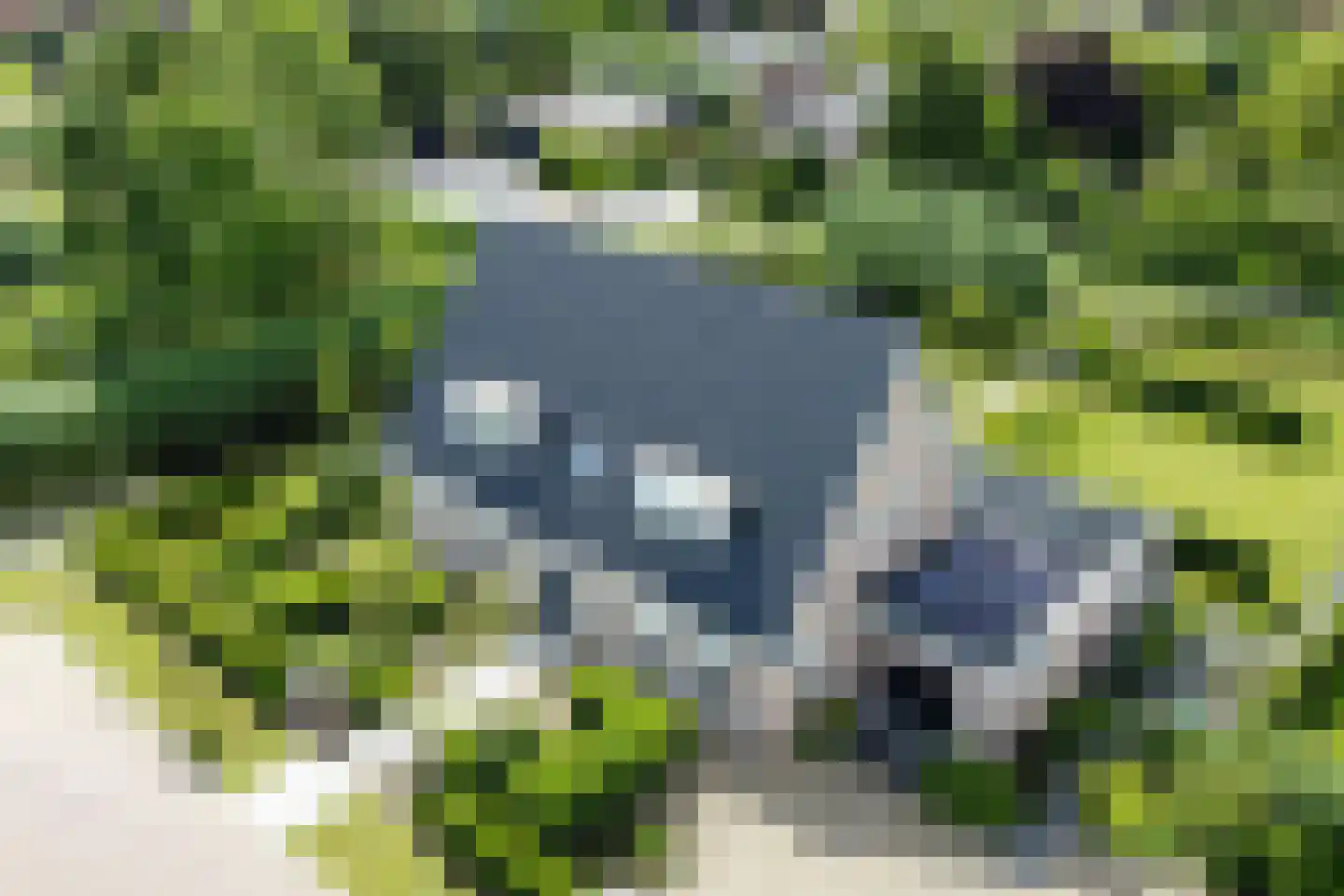't Waaltje 1 Papendrecht thumbnail 75