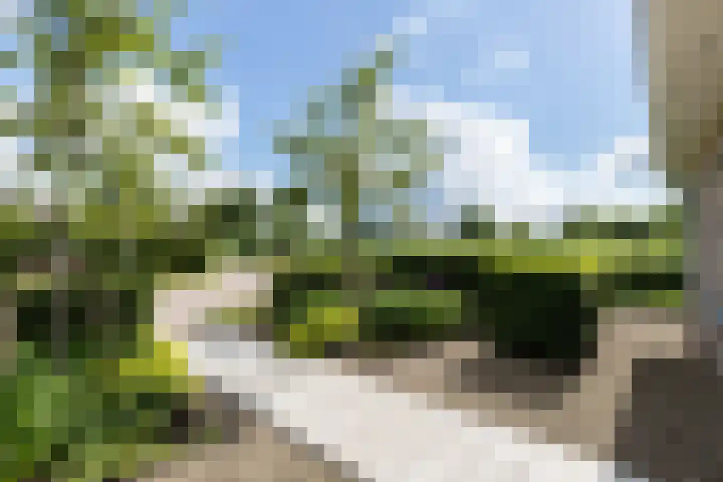 't Waaltje 1 Papendrecht thumbnail 9