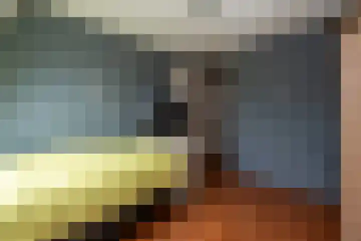 't Wad 18 Veendam thumbnail 23