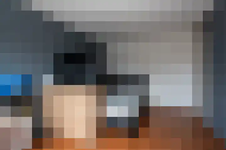 't Wad 18 Veendam thumbnail 25