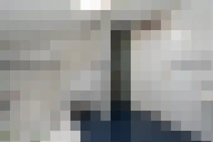 't Wad 18 Veendam thumbnail 27