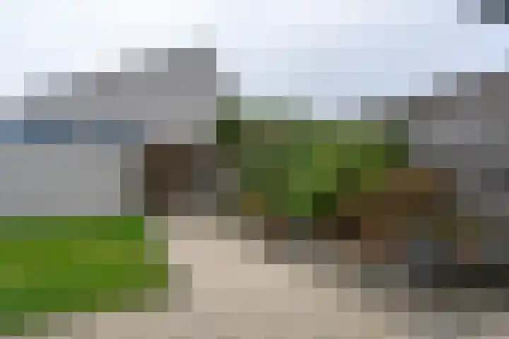 't Wad 18 Veendam thumbnail 31