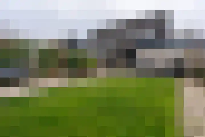 't Wad 18 Veendam thumbnail 32