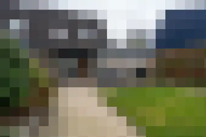 't Wad 18 Veendam thumbnail 33
