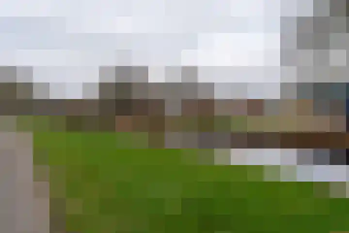 't Wad 18 Veendam thumbnail 34