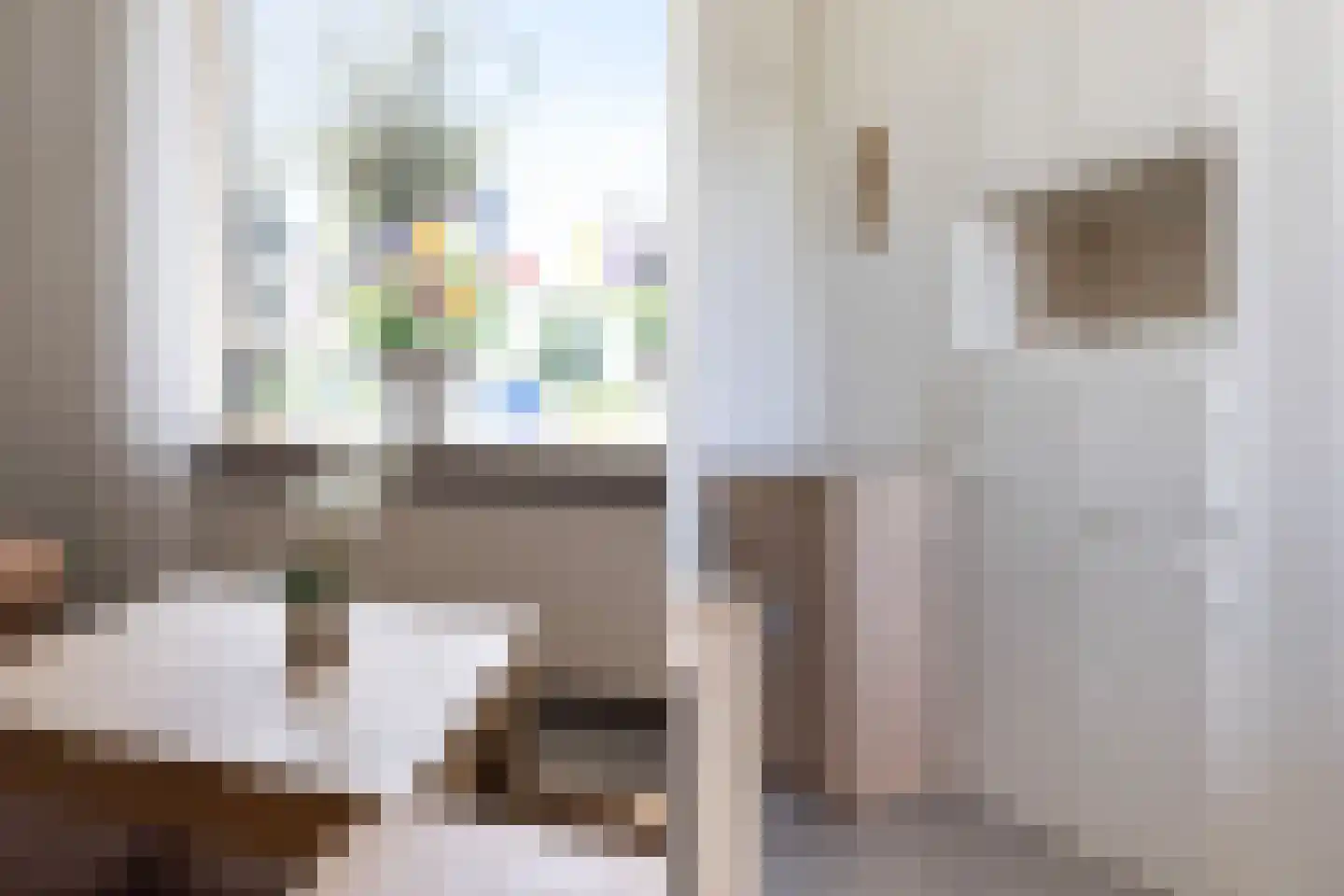 't Walletje 2 Klundert thumbnail 14