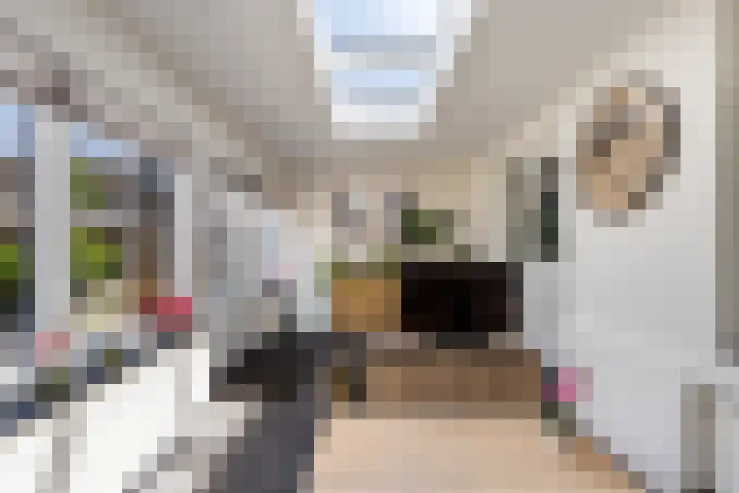 't Walletje 2 Klundert thumbnail 21