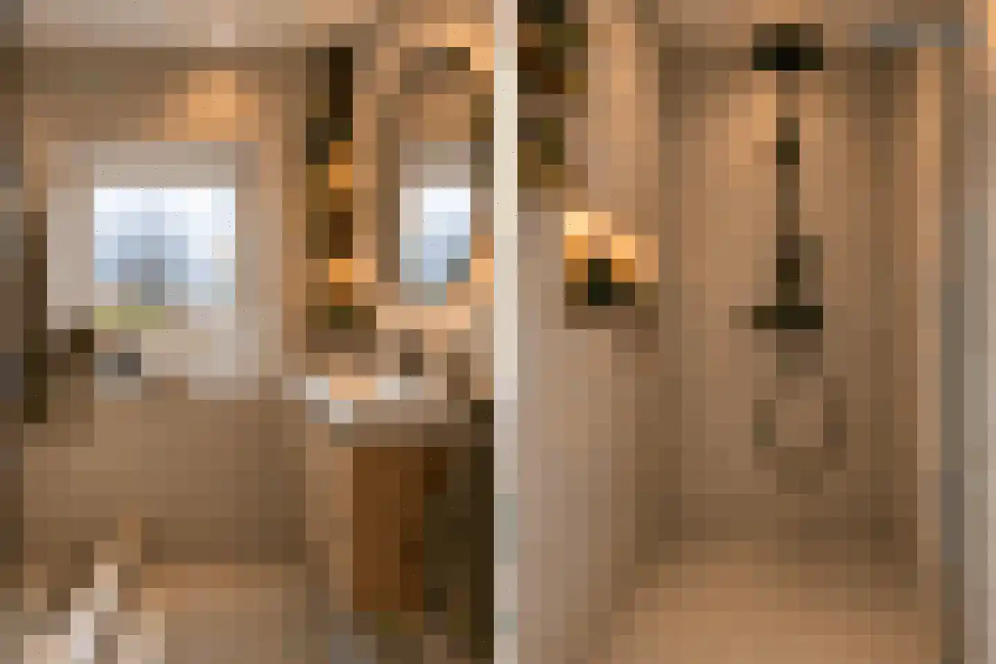 't Walletje 2 Klundert thumbnail 31