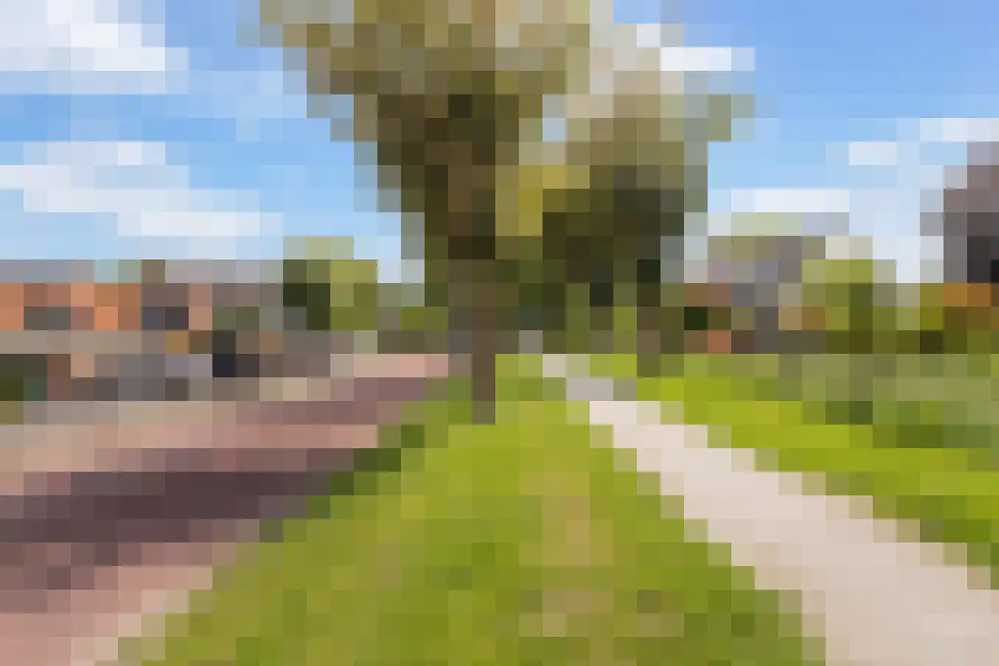 't Walletje 2 Klundert thumbnail 41