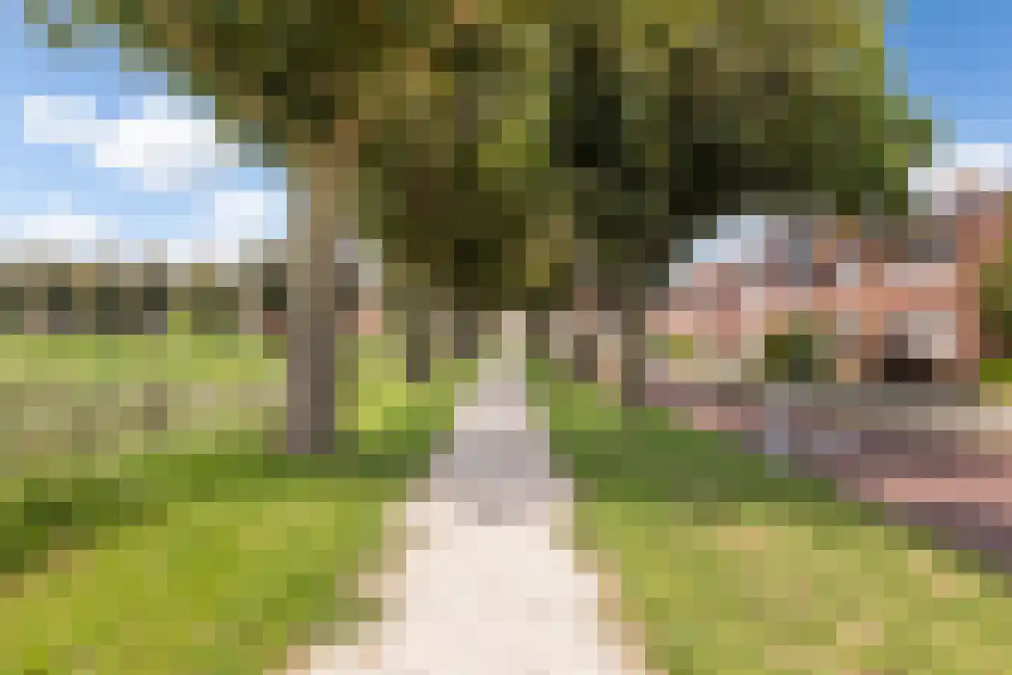 't Walletje 2 Klundert thumbnail 43