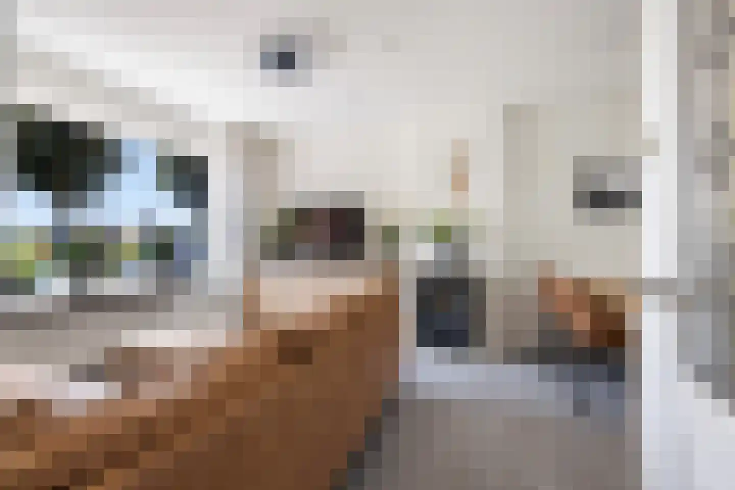 't Walletje 2 Klundert thumbnail 9