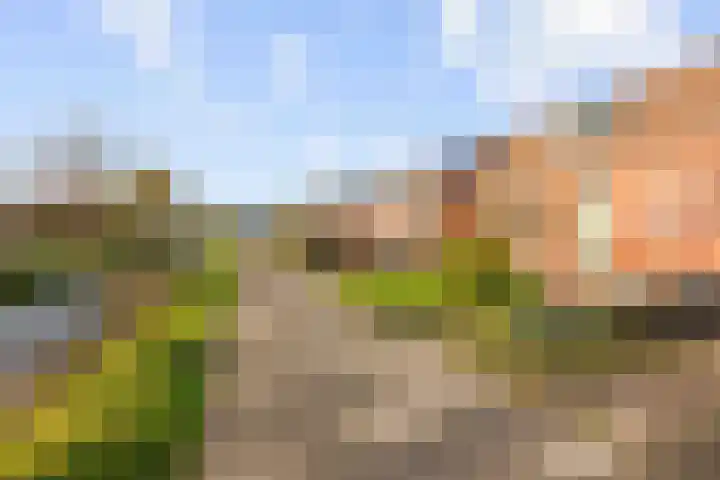 't War 10 Achlum thumbnail 11