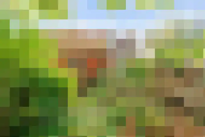 't War 10 Achlum thumbnail 36