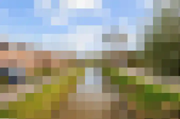 't War 10 Achlum thumbnail 7