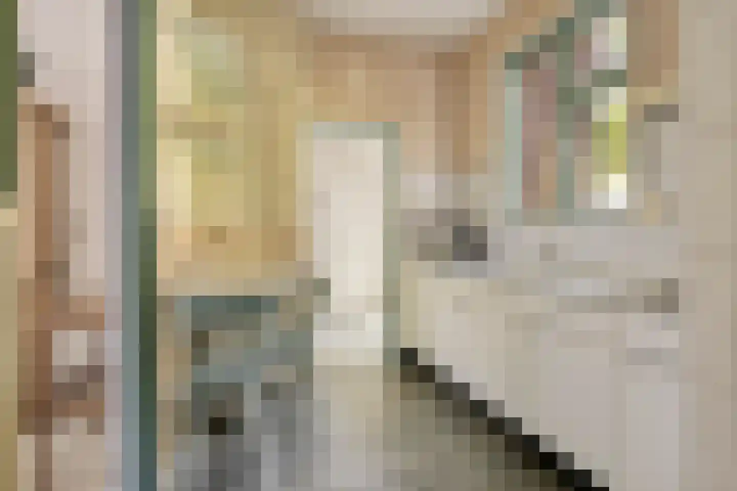 't Wasven 14 Halsteren thumbnail 12