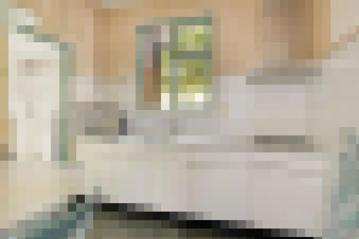 't Wasven 14 Halsteren thumbnail 13