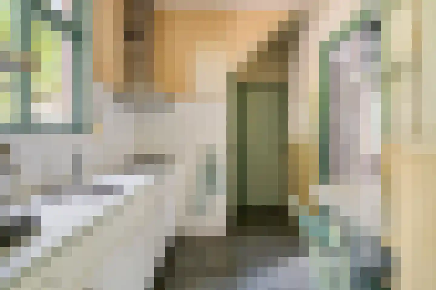 't Wasven 14 Halsteren thumbnail 14