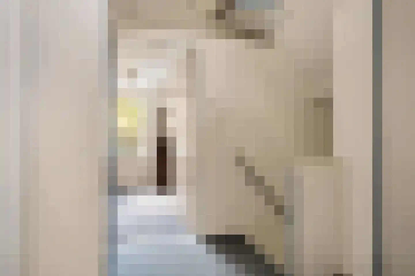 't Wasven 14 Halsteren thumbnail 17