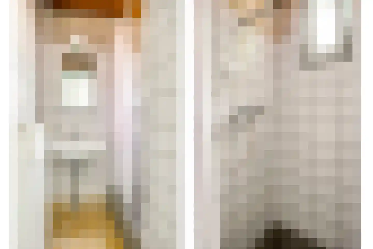 't Wasven 14 Halsteren thumbnail 19