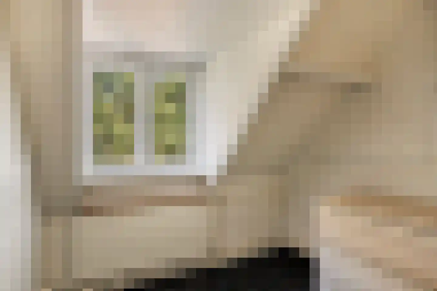 't Wasven 14 Halsteren thumbnail 27