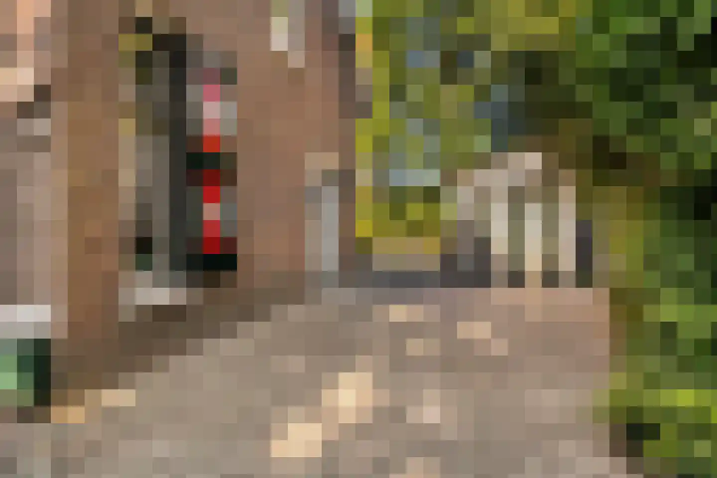 't Wasven 14 Halsteren thumbnail 29