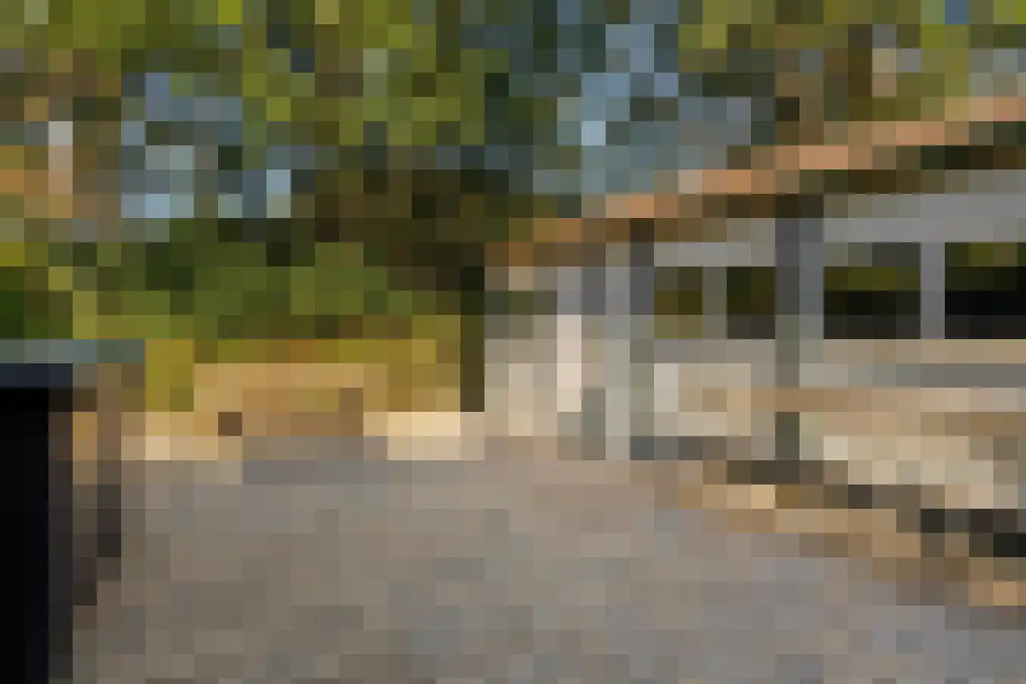 't Wasven 14 Halsteren thumbnail 30