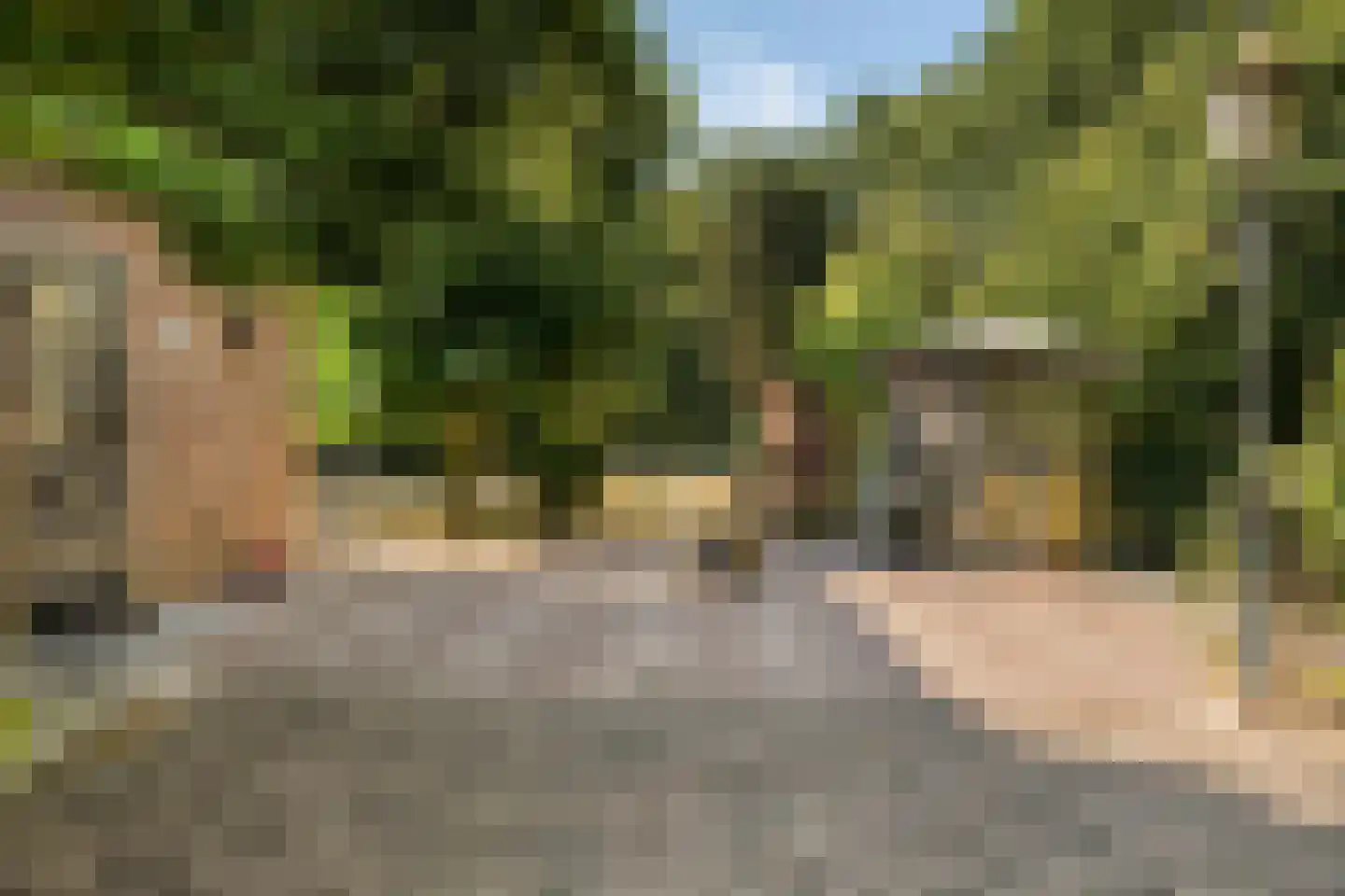 't Wasven 14 Halsteren thumbnail 31