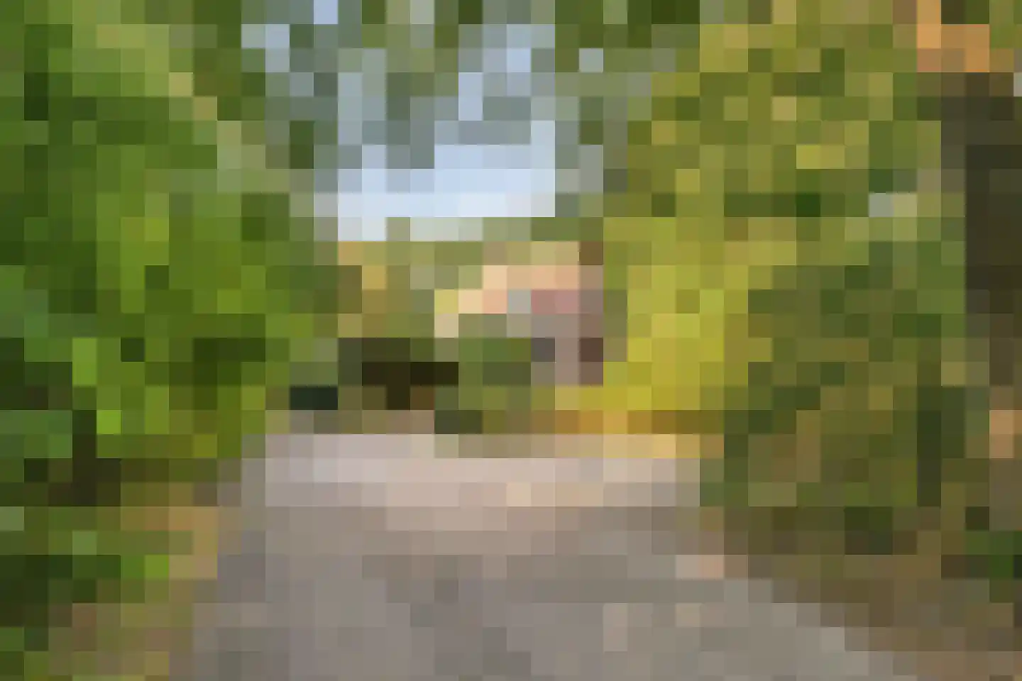 't Wasven 14 Halsteren thumbnail 32