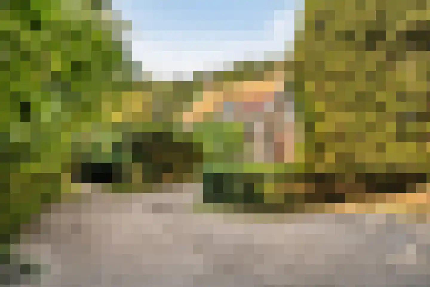 't Wasven 14 Halsteren thumbnail 33