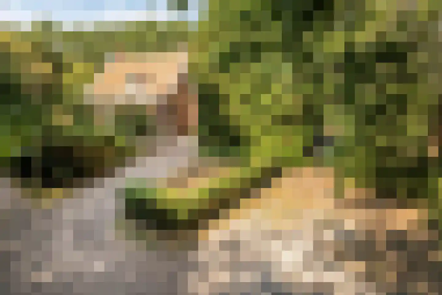 't Wasven 14 Halsteren thumbnail 35