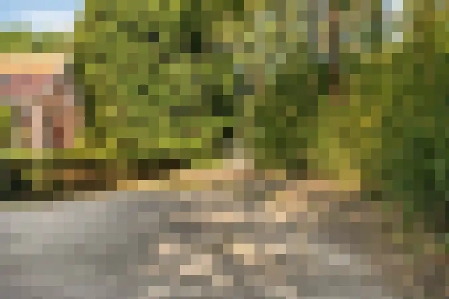 't Wasven 14 Halsteren thumbnail 37