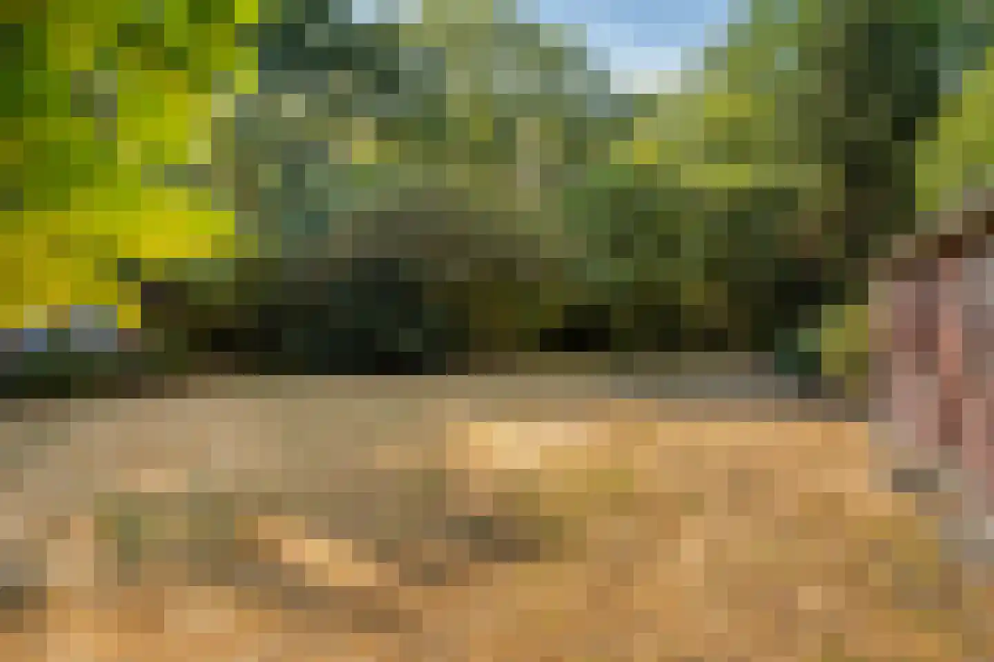 't Wasven 14 Halsteren thumbnail 38