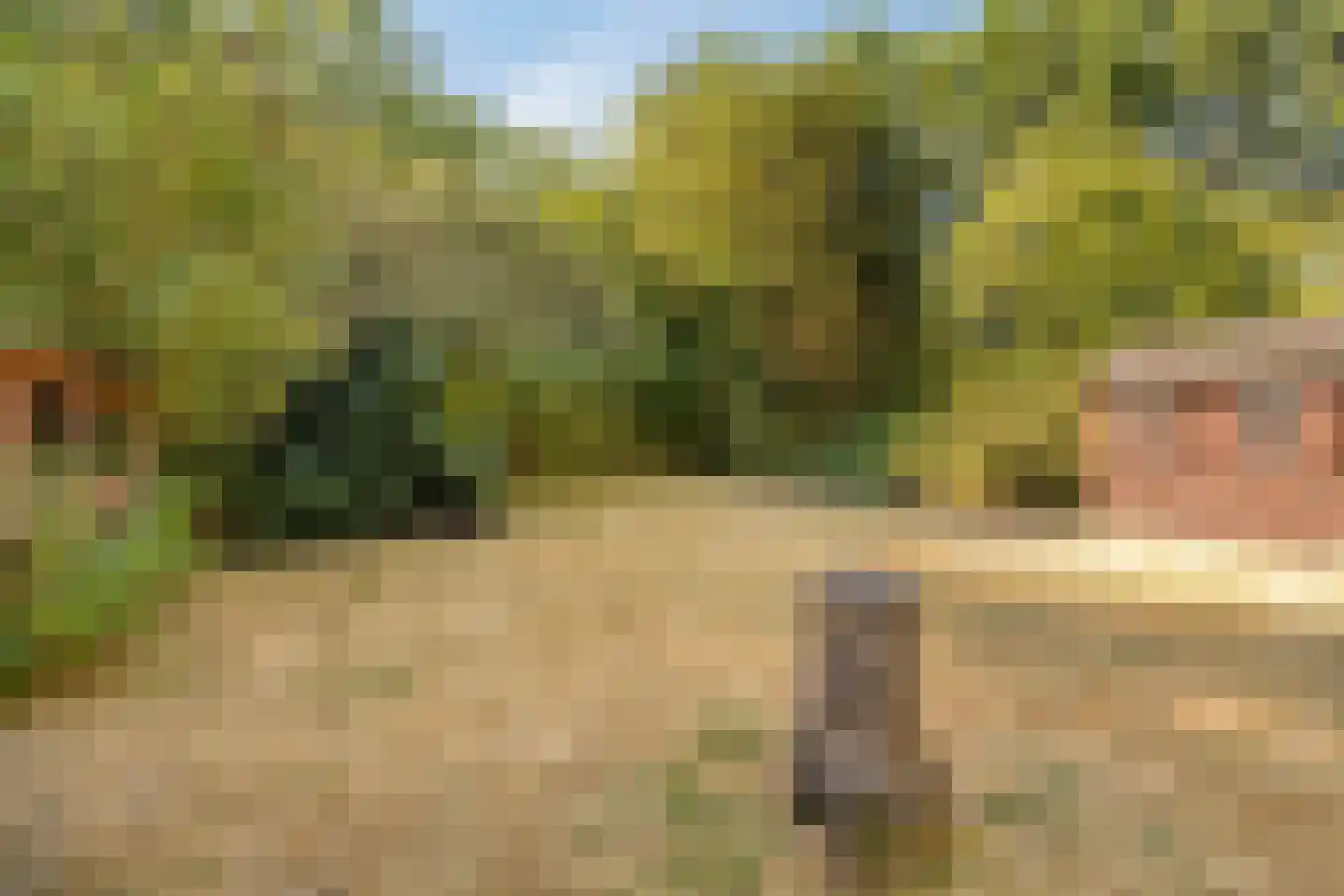 't Wasven 14 Halsteren thumbnail 39