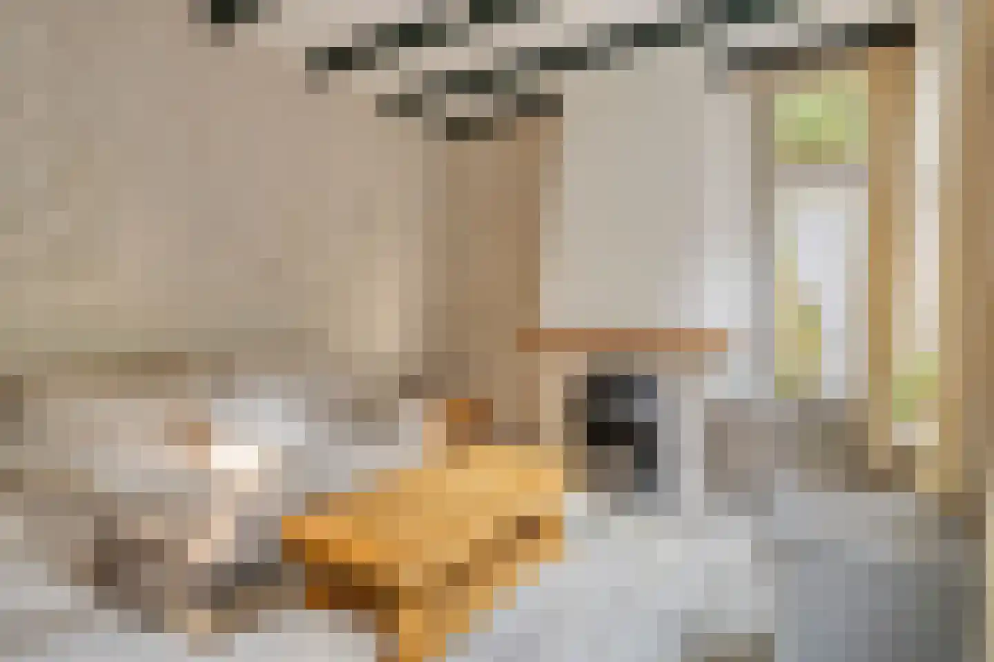 't Wasven 14 Halsteren thumbnail 4
