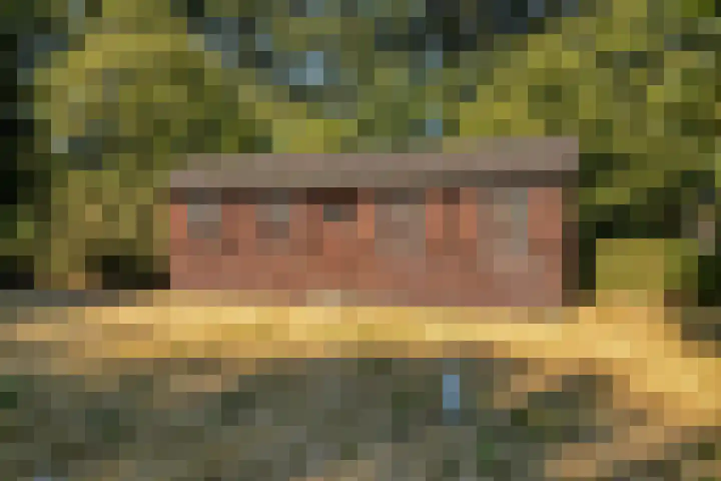 't Wasven 14 Halsteren thumbnail 40