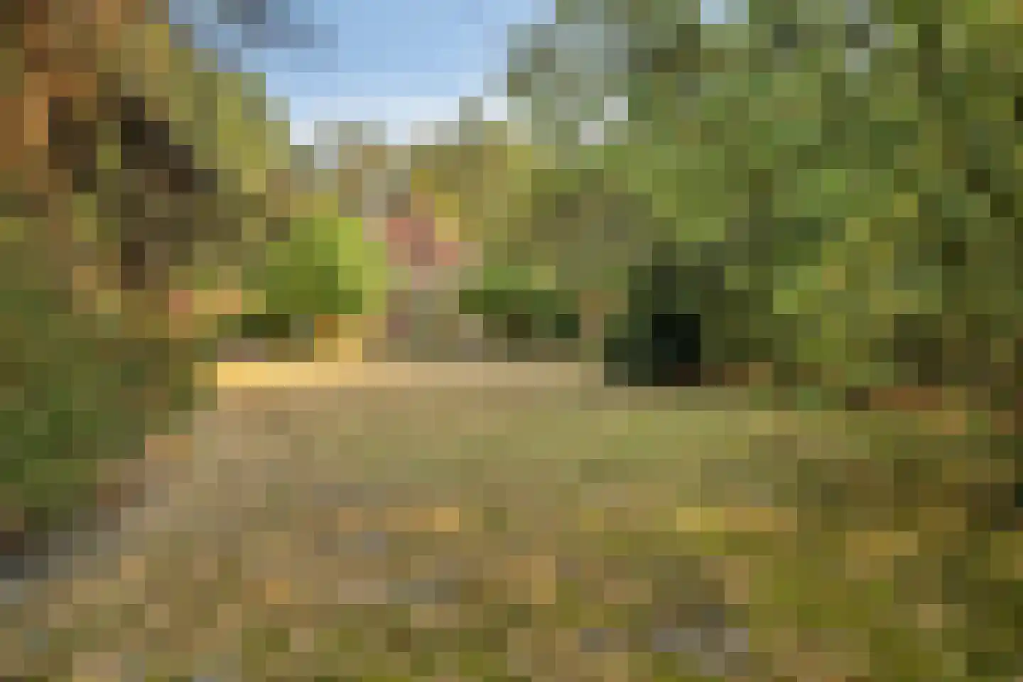 't Wasven 14 Halsteren thumbnail 41