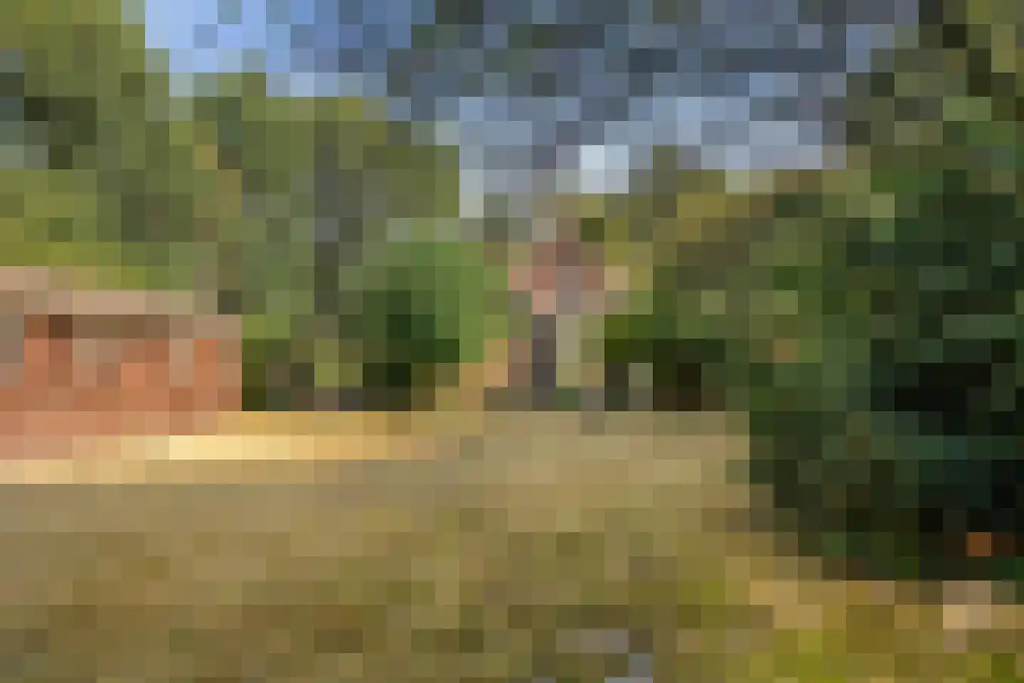 't Wasven 14 Halsteren thumbnail 42