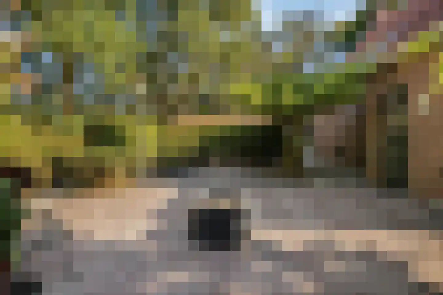 't Wasven 14 Halsteren thumbnail 43