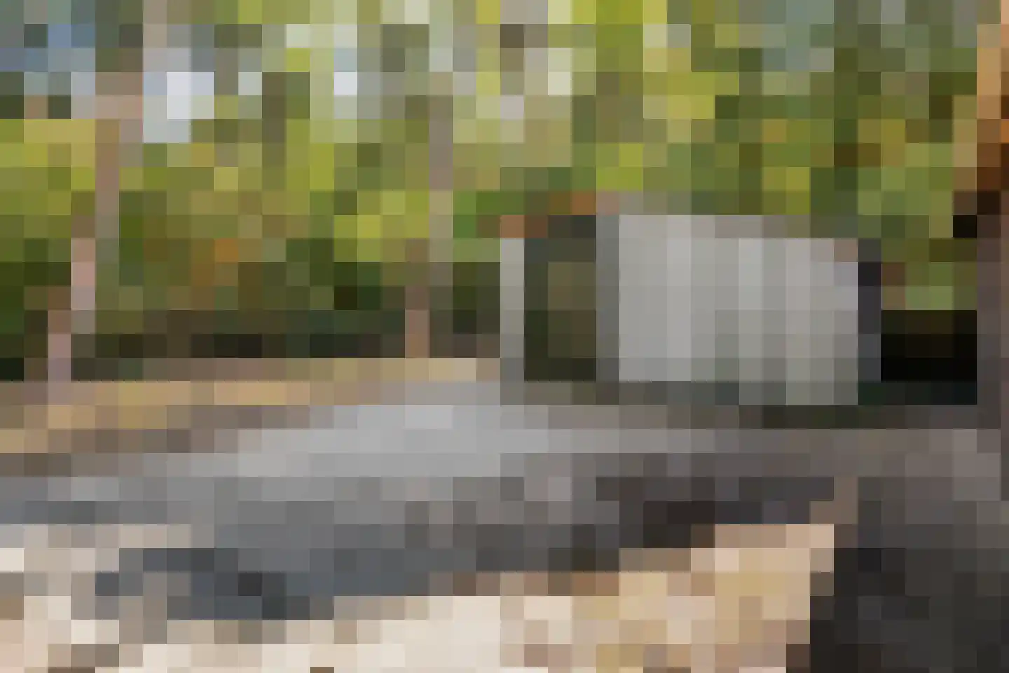 't Wasven 14 Halsteren thumbnail 46