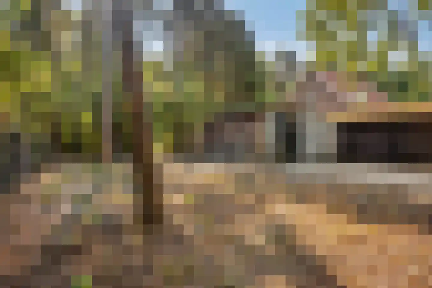 't Wasven 14 Halsteren thumbnail 47