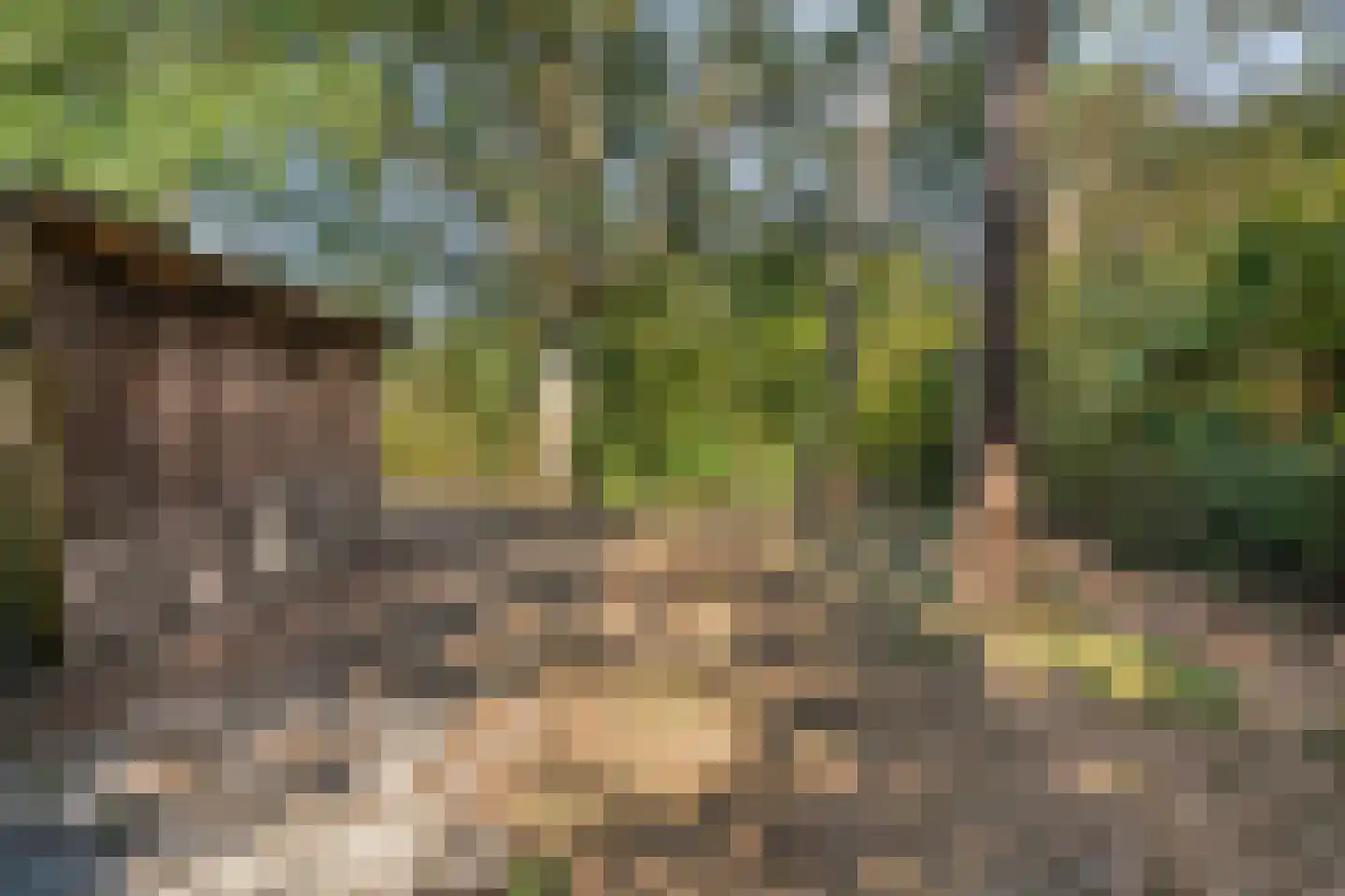 't Wasven 14 Halsteren thumbnail 48