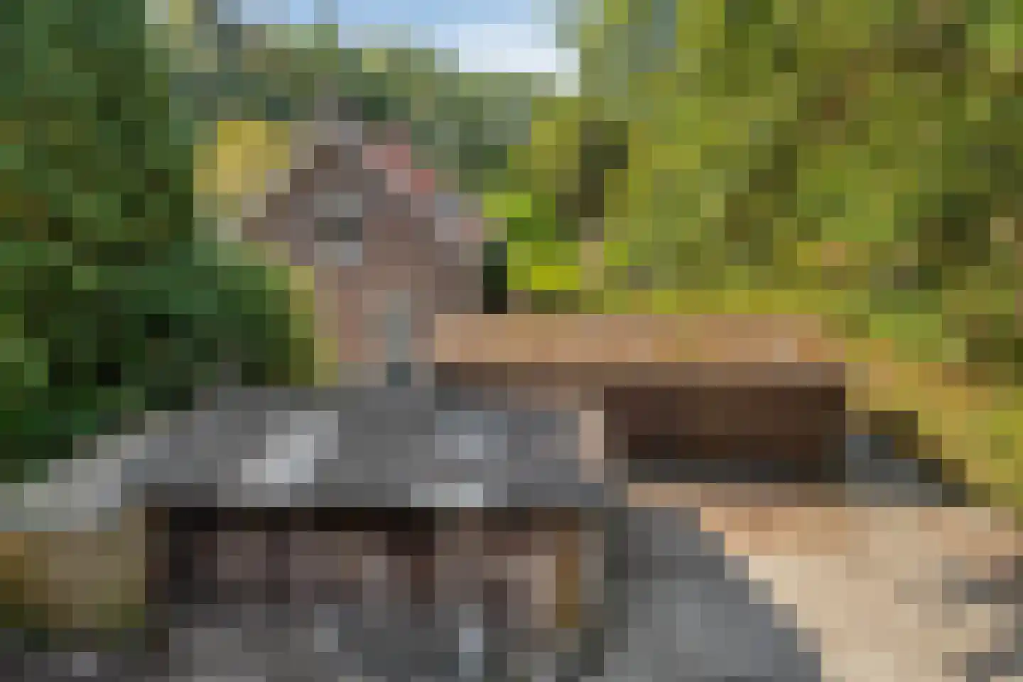 't Wasven 14 Halsteren thumbnail 49