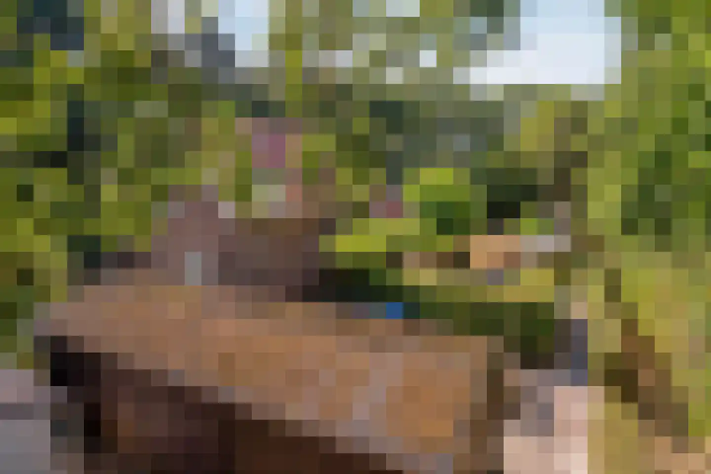 't Wasven 14 Halsteren thumbnail 50