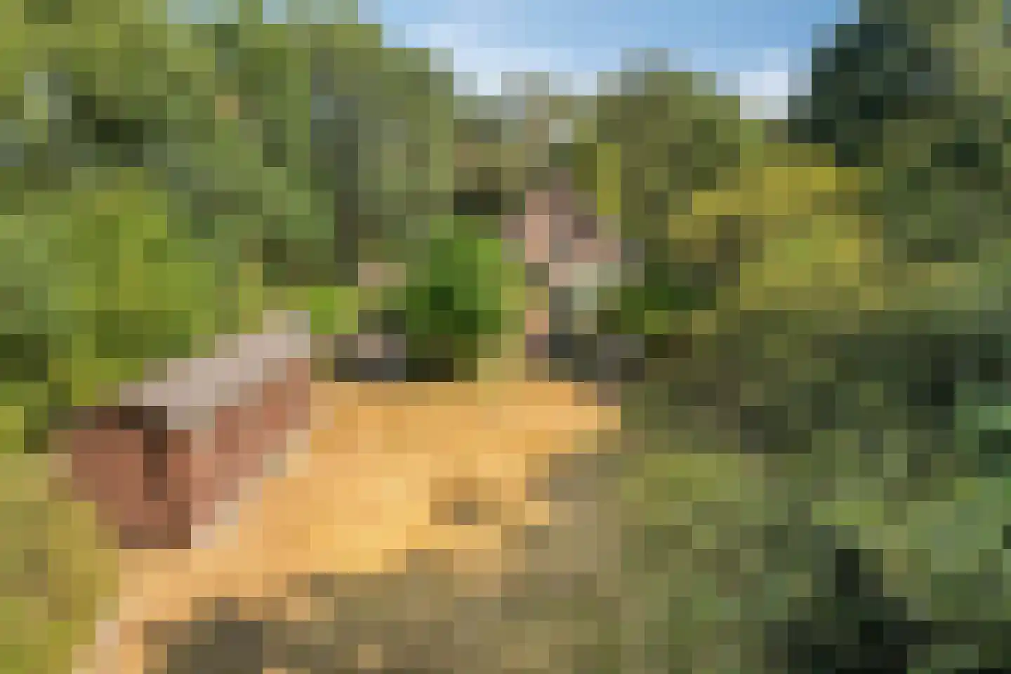 't Wasven 14 Halsteren thumbnail 51