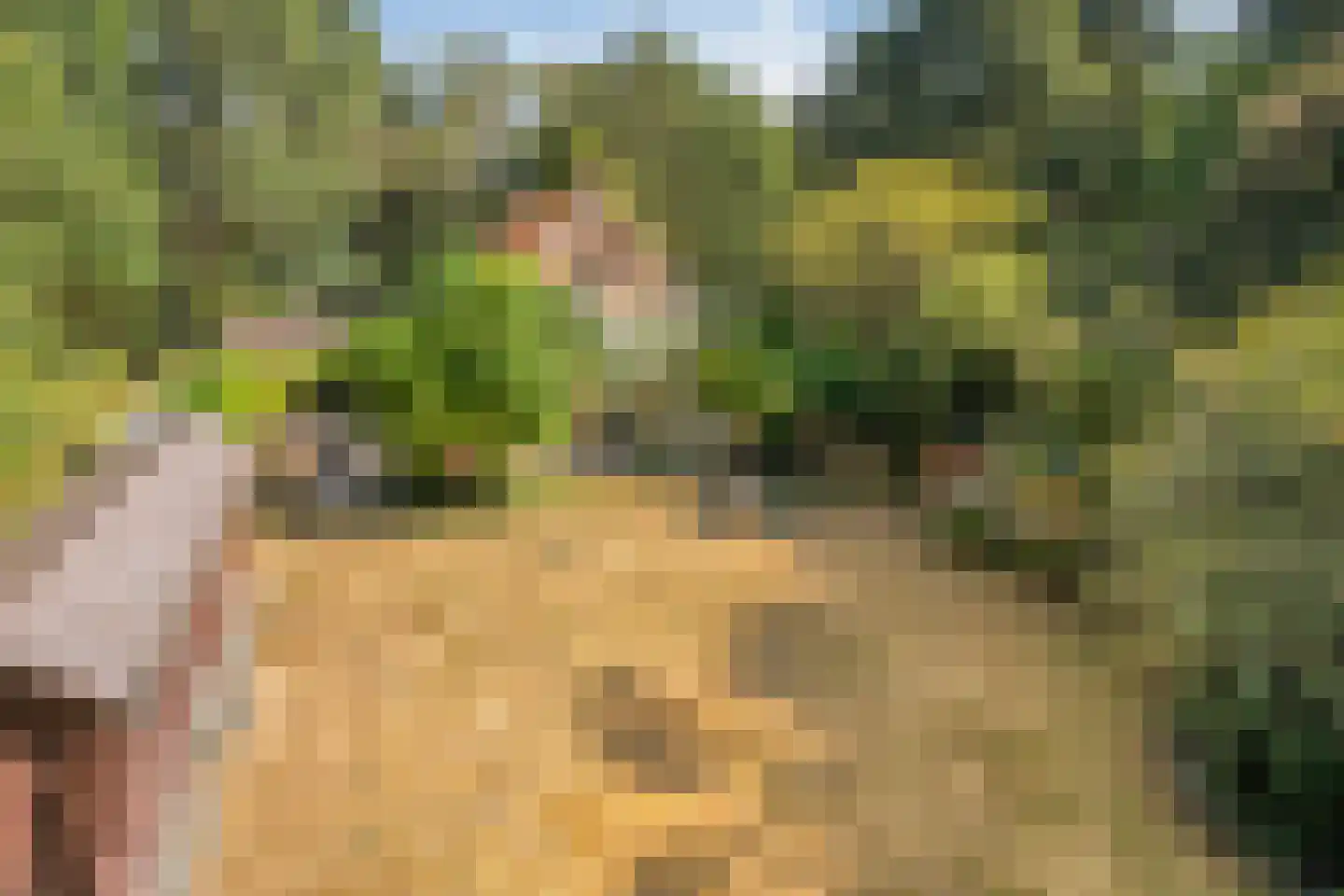 't Wasven 14 Halsteren thumbnail 52