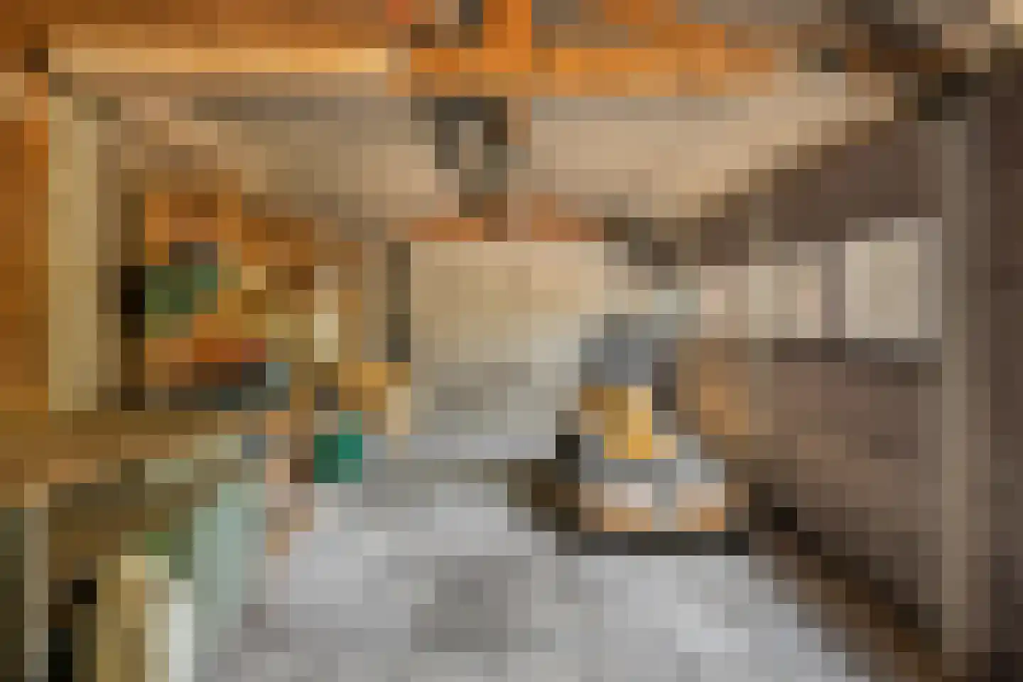't Wasven 14 Halsteren thumbnail 53