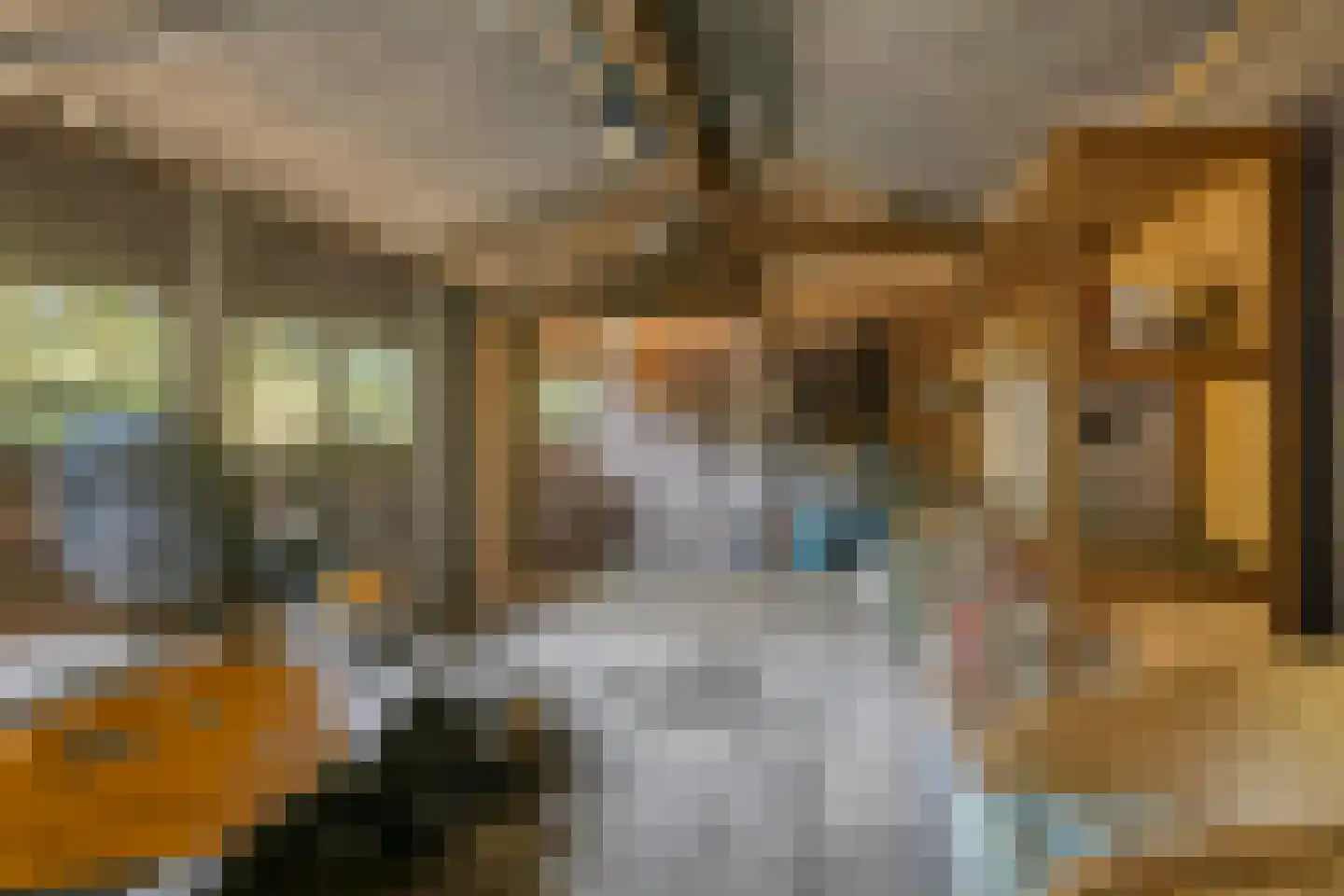 't Wasven 14 Halsteren thumbnail 54