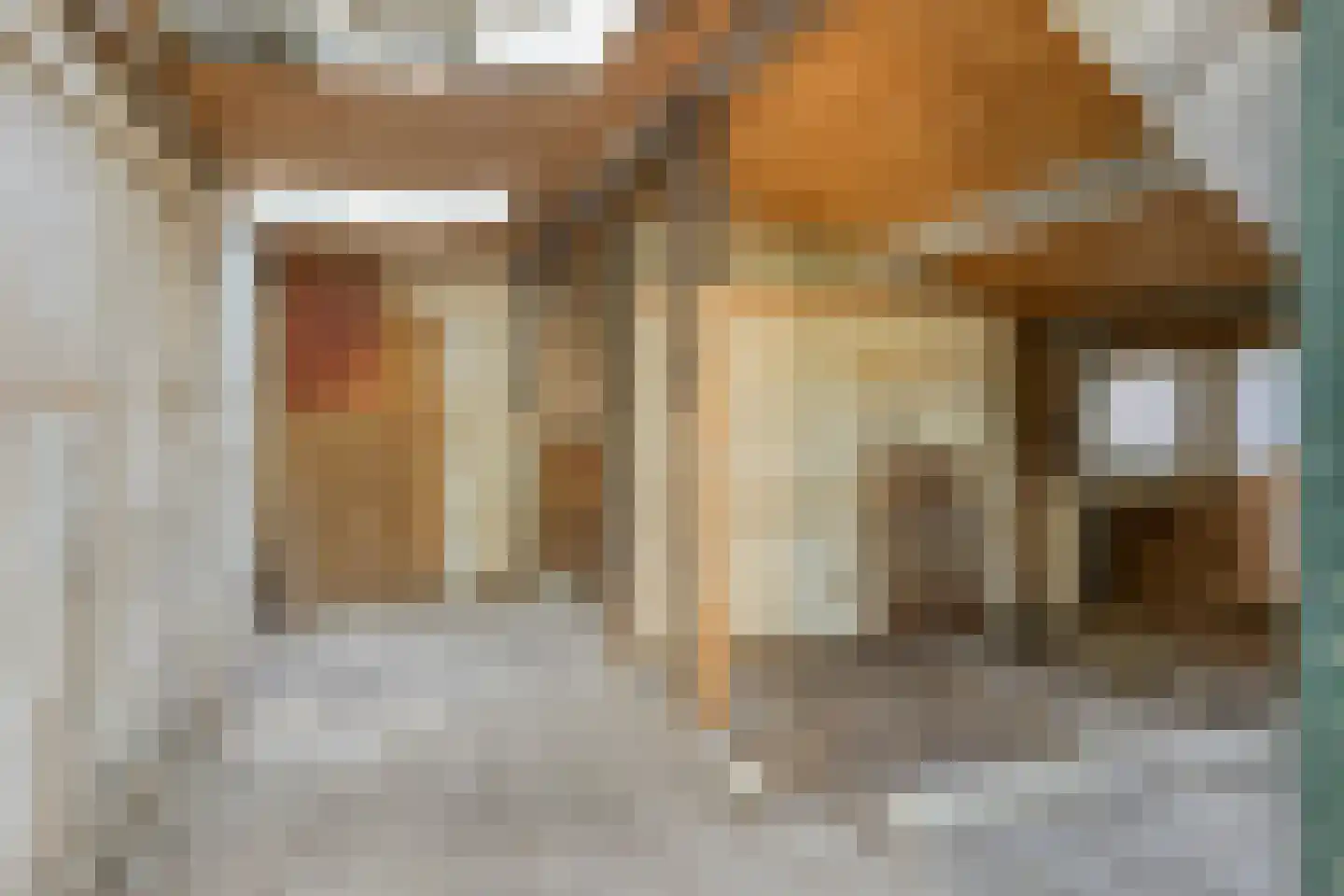 't Wasven 14 Halsteren thumbnail 55