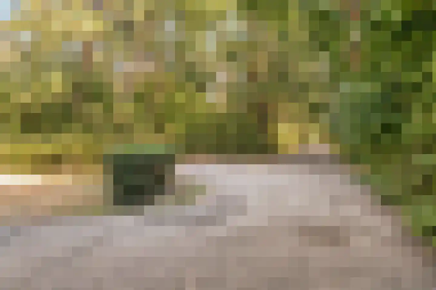 't Wasven 14 Halsteren thumbnail 56